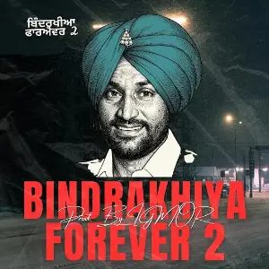 Bindrakhiya Forever 2
