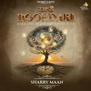 Roohdari