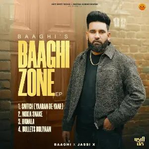Baaghi Zone